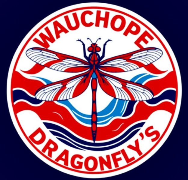Wauchope Dragon Flys